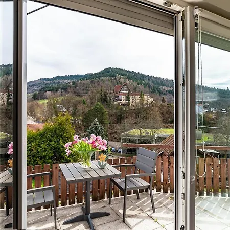 Vogtshaus ゲルンスバッハ