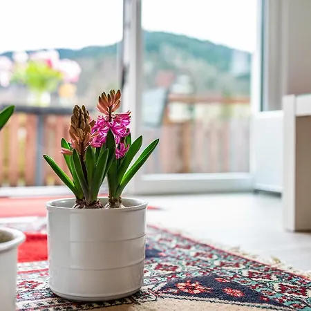 Apartamento Vogtshaus *