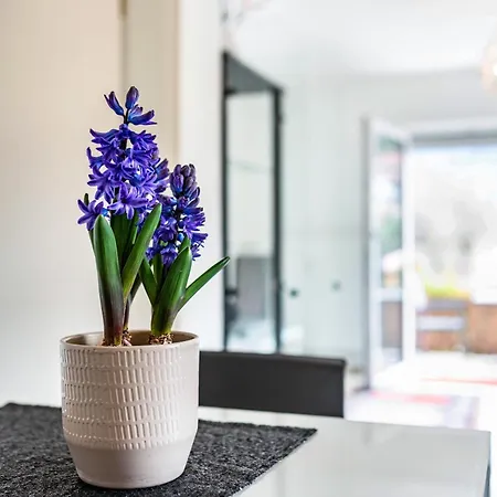 Apartament Vogtshaus Gernsbach