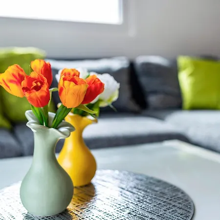 Appartement Vogtshaus Gernsbach