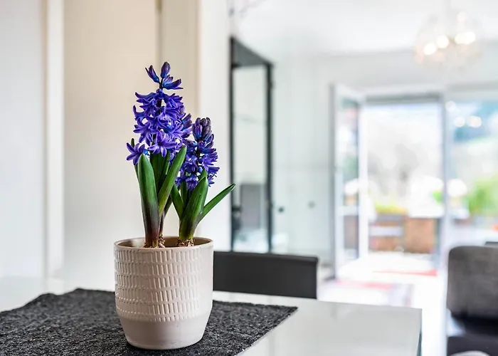 Vogtshaus ゲルンスバッハ