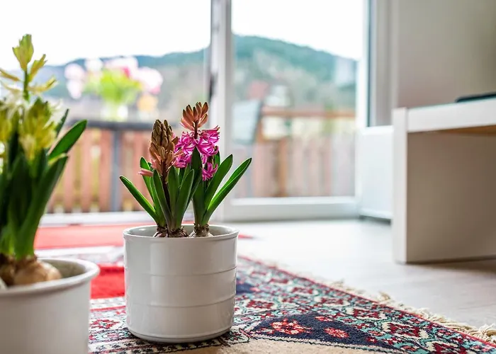 Appartamento Vogtshaus *